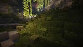 Lush Caves Grass