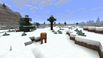 Snowy Plains