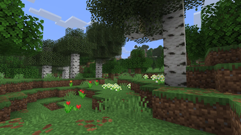 Flower Forest