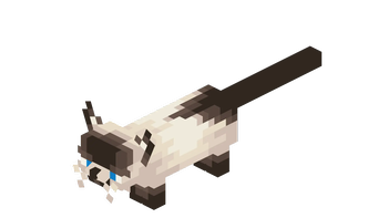 Siamese