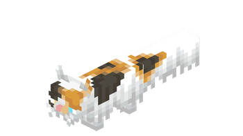 Calico