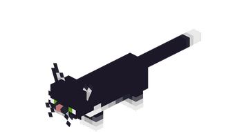 Tuxedo