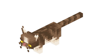 Tabby
