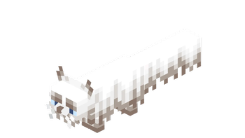 Ragdoll
