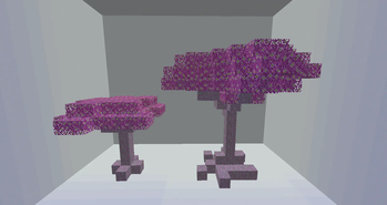 Lilum Arbor Tree