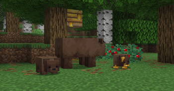 Brown bear with updated cubs (26.1)