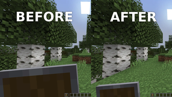 Before And After