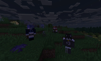 30+ unique skins available in the overworld.
