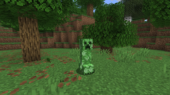 Creeper in forest