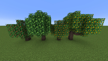 Trees