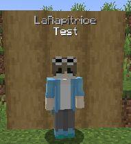 ChatBubble in game