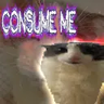 Cornsogs