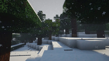 Snow in forest
