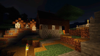 Village at night