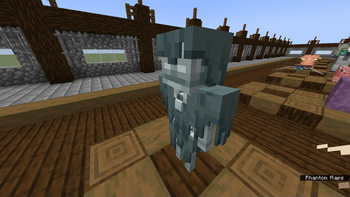 3D Stray
