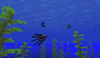 Squids & Calamari #2