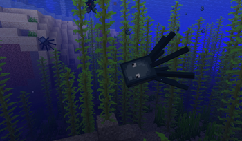 Squids & Calamari #1