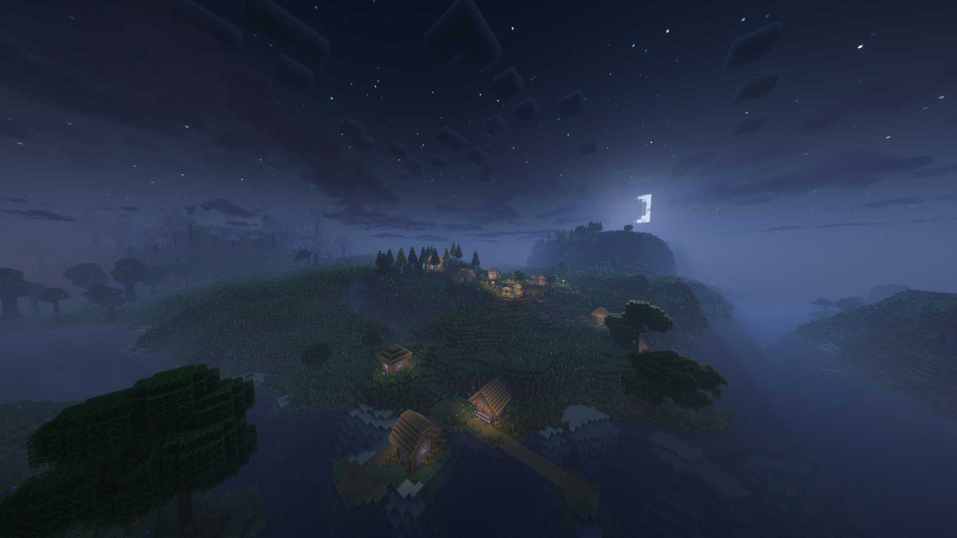 The Minecraft Overwold at night