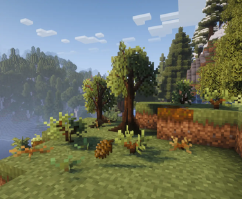 Spruce Seed Cone + Saplings