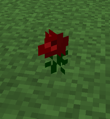 rose