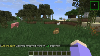 Deleted in 10 Seconds