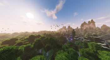 Forest Overview