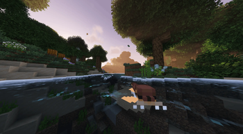 Otter in the wild