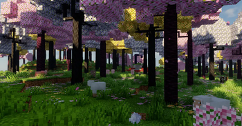Sakura Grove