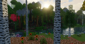 forgotten forest