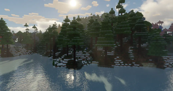Frosted Coniferous Forest