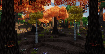 Weeping Witch Forest