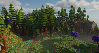Redwood Thicket