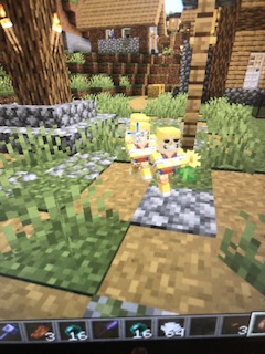 Baby villager running