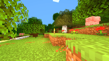 Forest with ULS during day