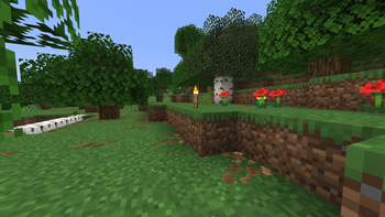 Forest without ULS during day