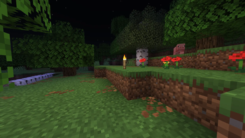Forest without ULS during night