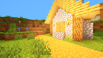 Village at day