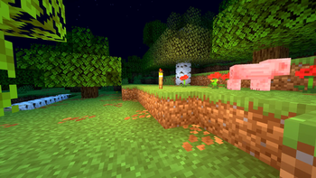 Forest with ULS during night