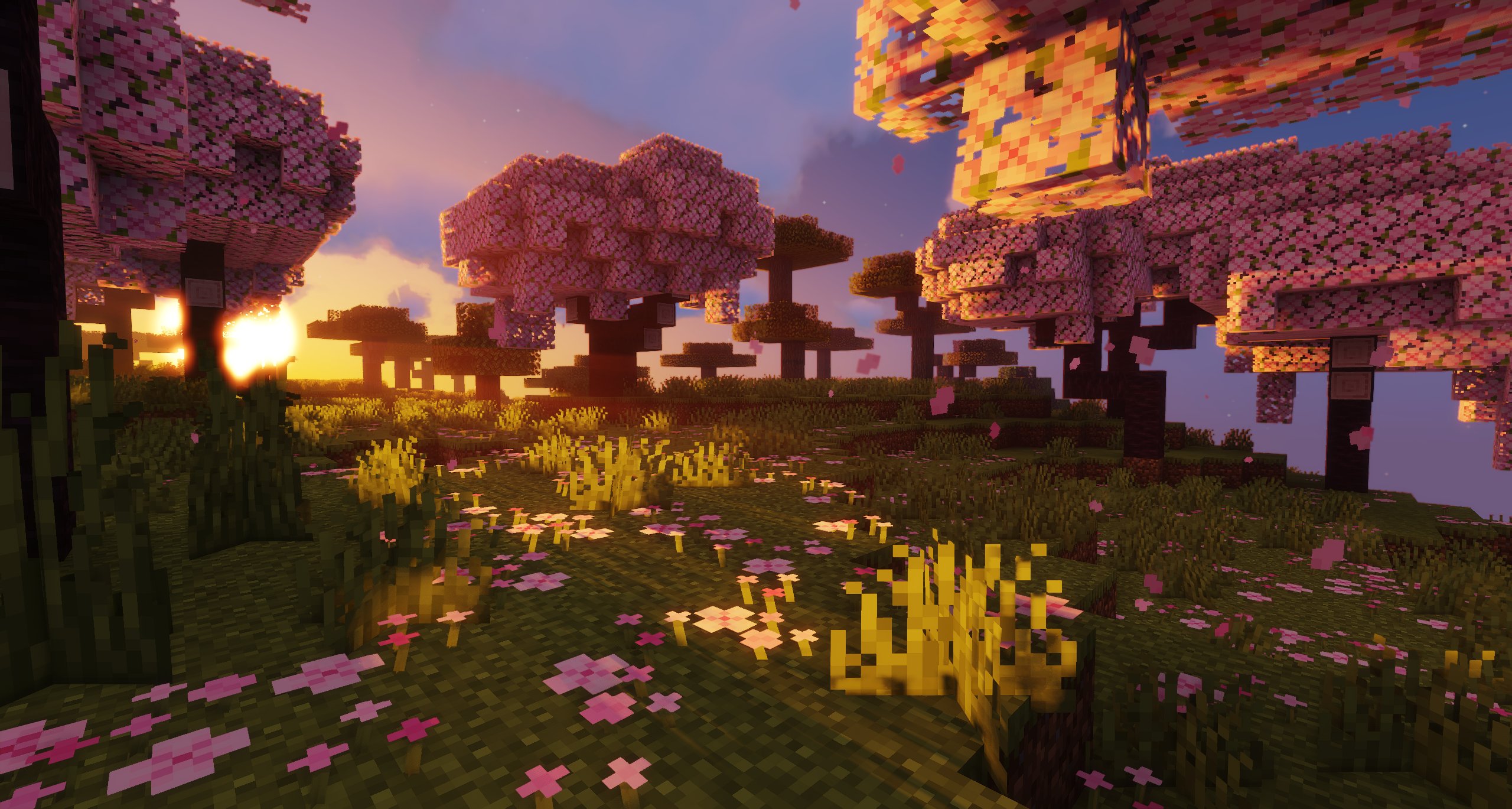 Sildur's Vibrant Shaders - 6