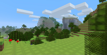 A New World