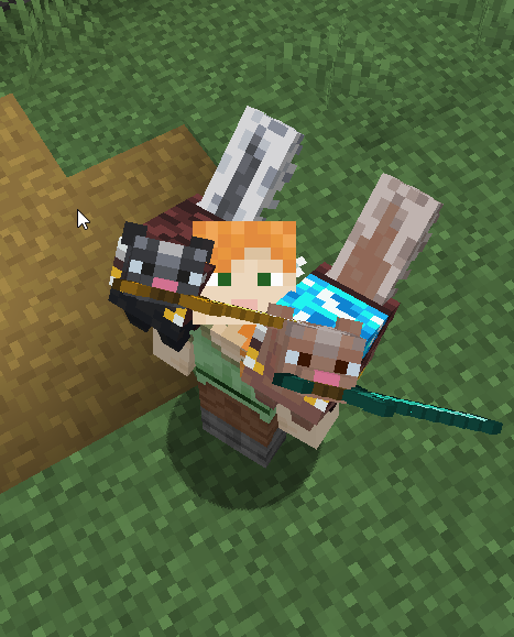 can have armors