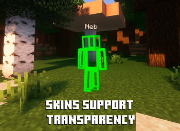 Skin with transparency