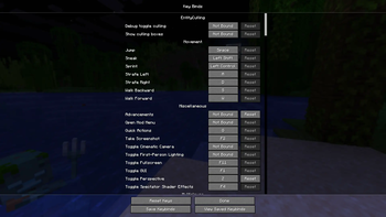 Vanilla keybind screen 