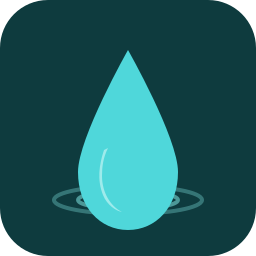 Project Icon