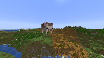 Hedgehog