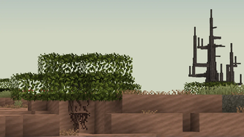 Unique trees and plants.