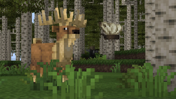 A moment of flutter and fawn.