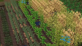 Mmmmmhhhh... Crops....