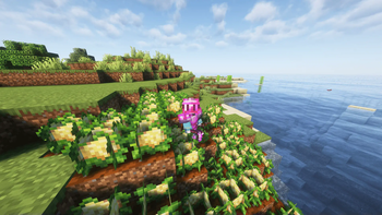 Pink Garnet Armor, Cauliflower and Pink Garnet Hoe