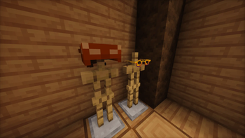 Climber's Bandanna & Starlight Glasses